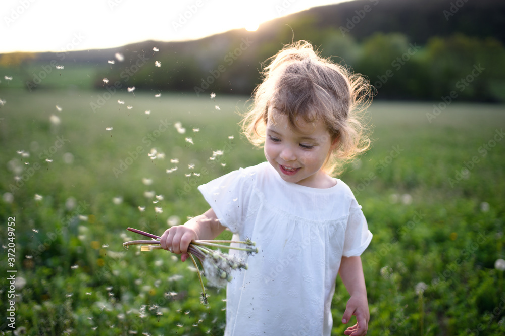 Small toddler girl standing on meadow outdoors in summer. Copy space. Small toddler girl standing on meadow outdoors in summer. Copy space.
