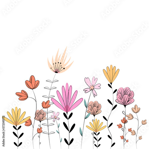 Drawing of a variety of wildflowers. Flower vector