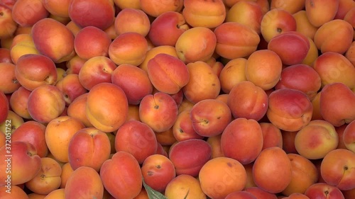 ripe red apricots on the market
