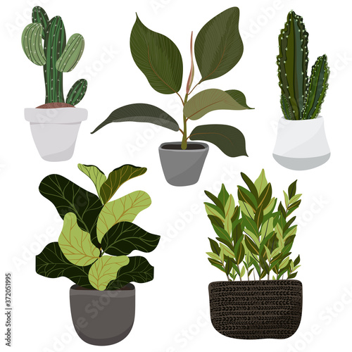 Set of hygge vector illustration plants in pots stickers, patches, pins collection etc. Collection of decorative houseplants isolated on white background. Beautiful natural home decorations.