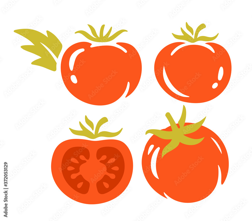 tomatoes on white background collection tomatoes on white background collection