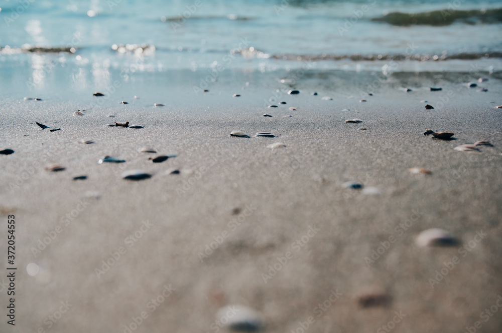 blurry North Sea background with water in the background and sand with shells in the foreground