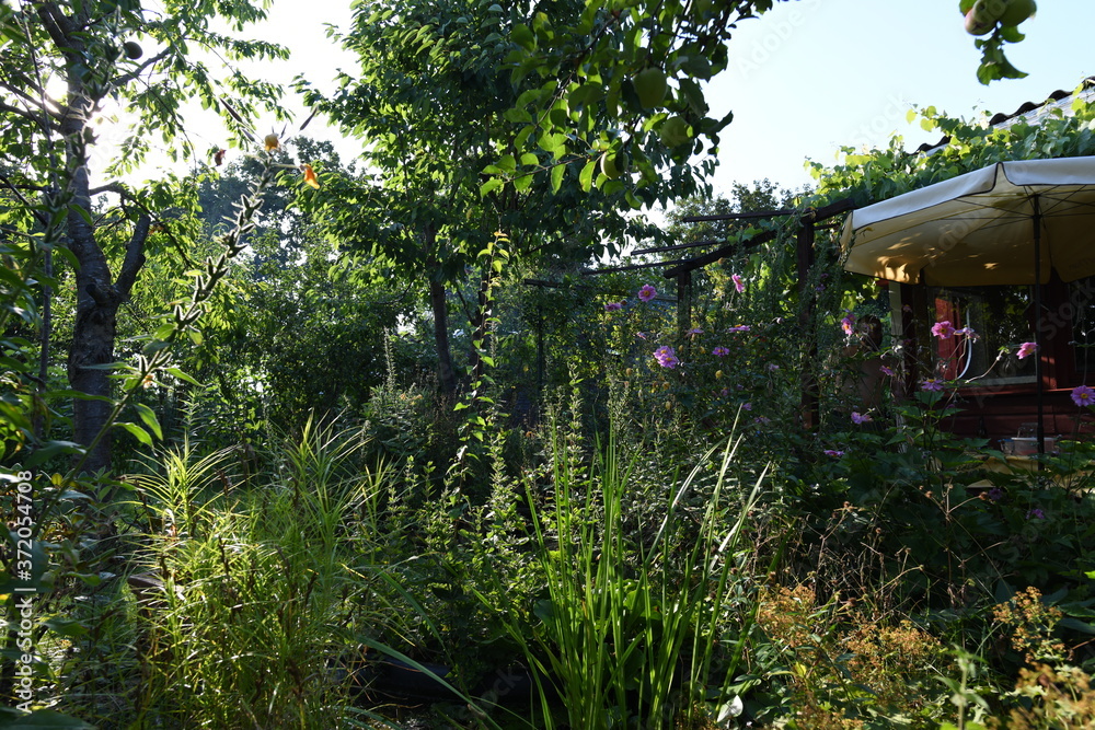 Obraz premium Schrebergarten VII