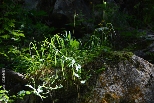 hike in the Styrian mountains