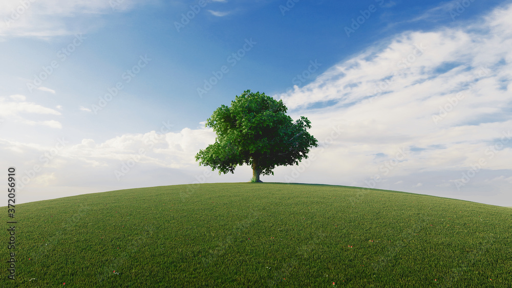 High resolution. A tree standing alone in a lawn. 3d rendering High resolution. A tree standing alone in a lawn. 3d rendering