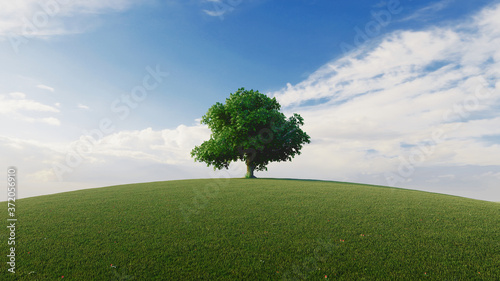 High resolution. A tree standing alone in a lawn. 3d rendering