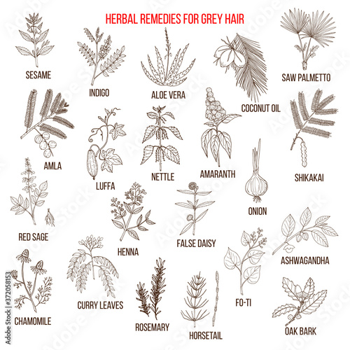 Best herbal remedies for gray hair.
