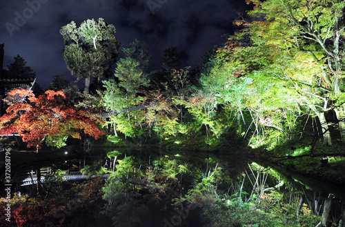 Night scenery of the pool in traditional japan garden.