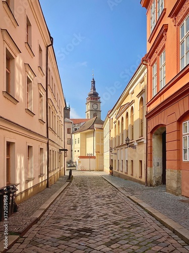 Картината върху платно Buildings in Hradec Kralove Czech Republic.
Image taken July 2020