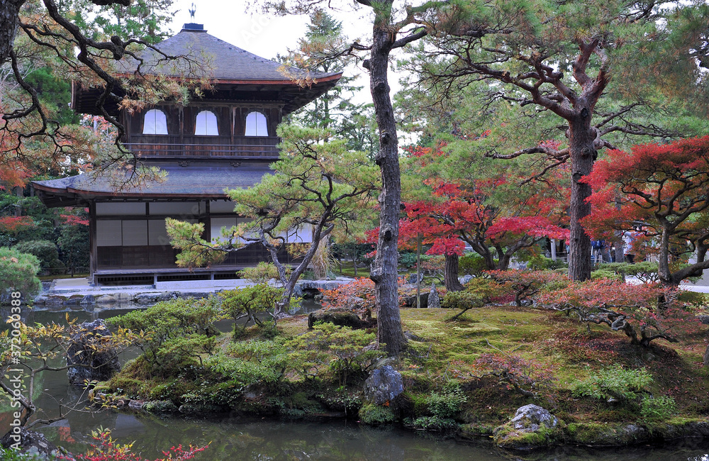 Breathtaking view on old traditional temple in japan garden during autumn season.