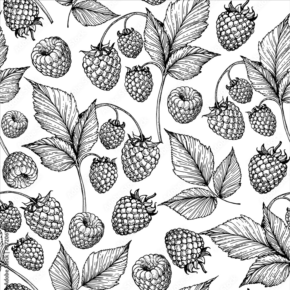 Seamless pattern with raspberries and raspberry leaves. Hand drawn sketch. Black and white style illustration. Vector illustration. Seamless pattern with raspberries and raspberry leaves. Hand drawn sketch. Black and white style illustration. Vector illustration.