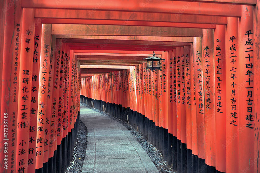 Fototapeta premium Famous beautiful corridor from thousands wooden red japan gates Fushimi Inari Shrine.