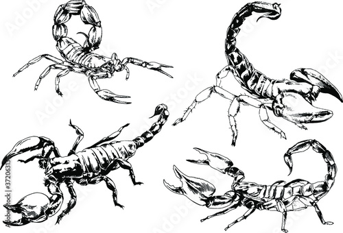 vector drawings sketches different insects bugs Scorpions spiders drawn in ink by hand   objects with no background