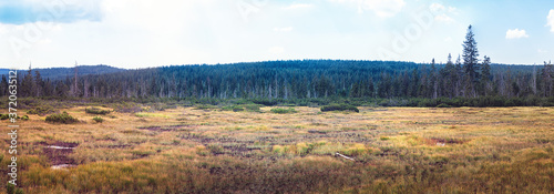landscape - Jizerky bog, Czech republic