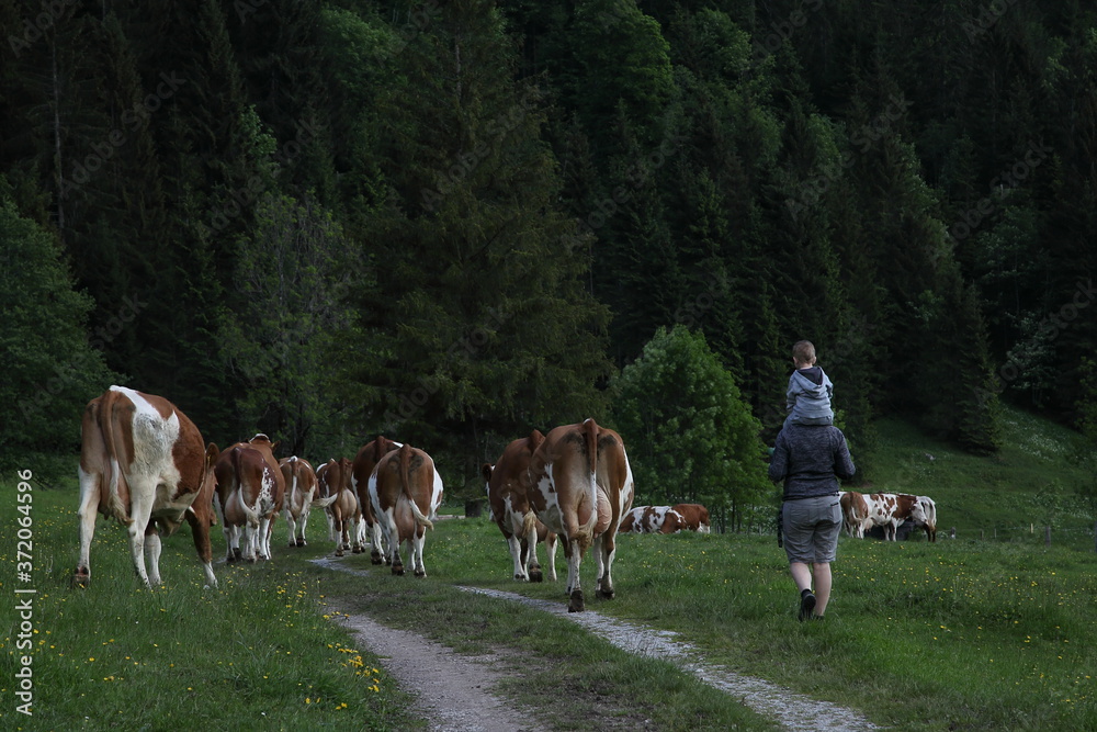 Fototapeta premium Werfenweng in Salzburgerland