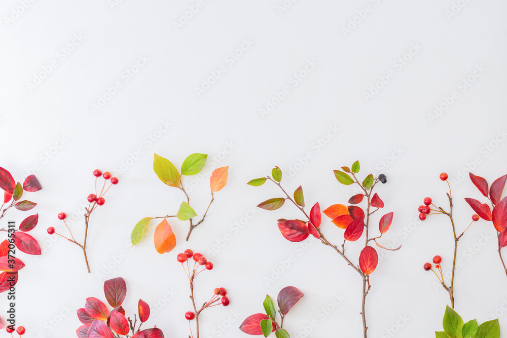 Flat lay pattern with colorful autumn leaves and apples on a white background Flat lay pattern with colorful autumn leaves and apples on a white background