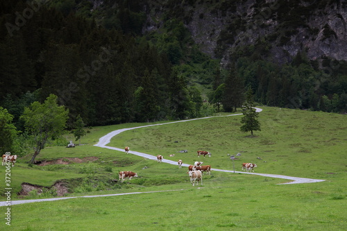 Wallpaper Mural Werfenweng in Salzburgerland Torontodigital.ca