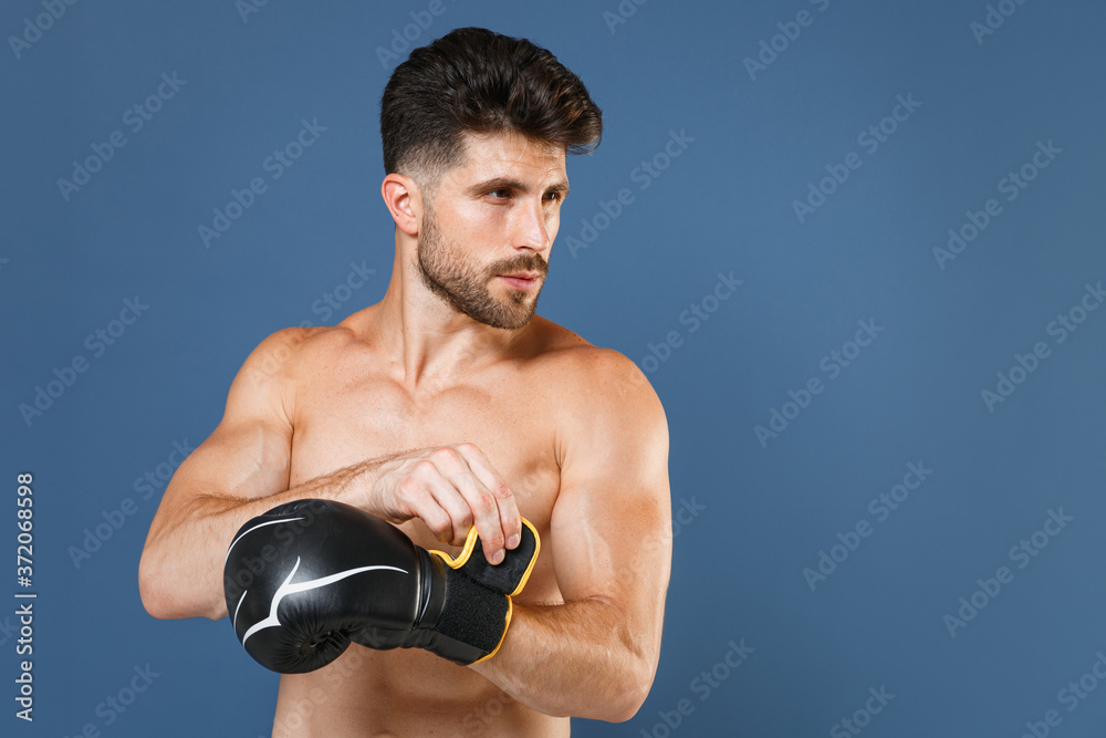 Attractive young fitness sporty strong guy bare-chested muscular sportsman boxer isolated on blue wall background studio portrait. Workout sport motivation lifestyle concept. Putting on boxing gloves.