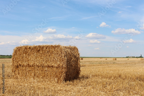 Large haystack in a harvested wheat field