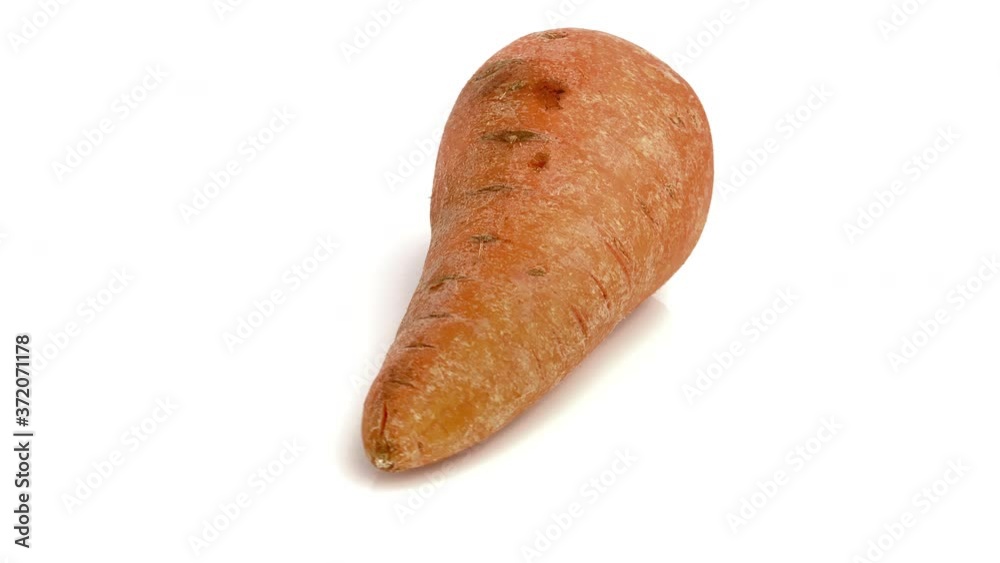 single carrot isolated on white single carrot isolated on white