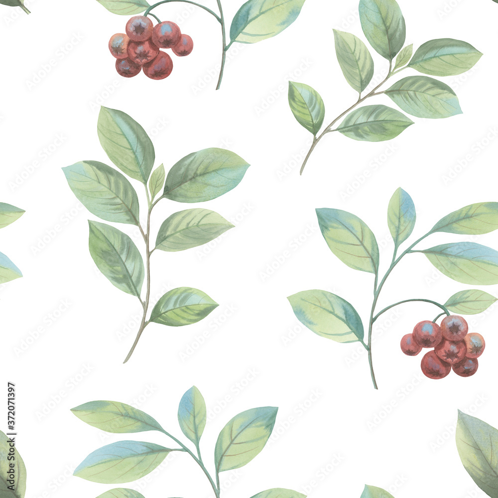 Seamless botanical pattern. Isolated branch with berries and mines against white background. A bunch of mountain ash. Graceful leaves and berries painted in watercolor.