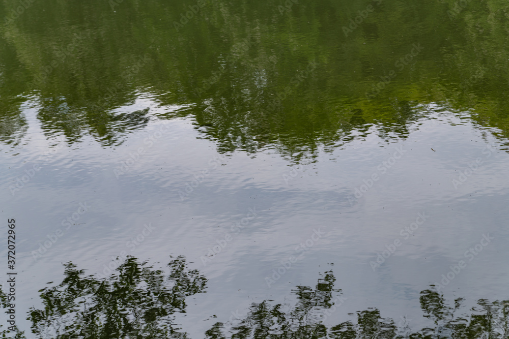 reflection in water, background, texture reflection in water, background, texture