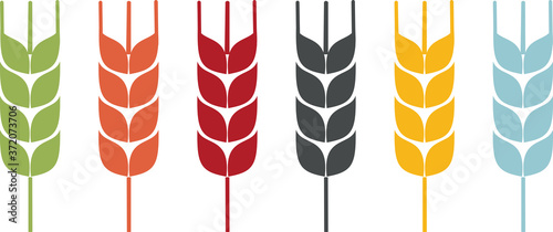 Coloured icon of wheat ears for agriculture