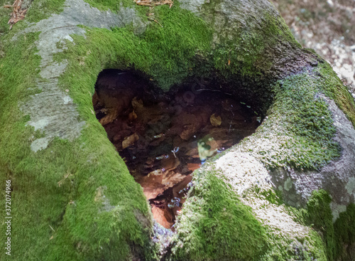 wooden heart