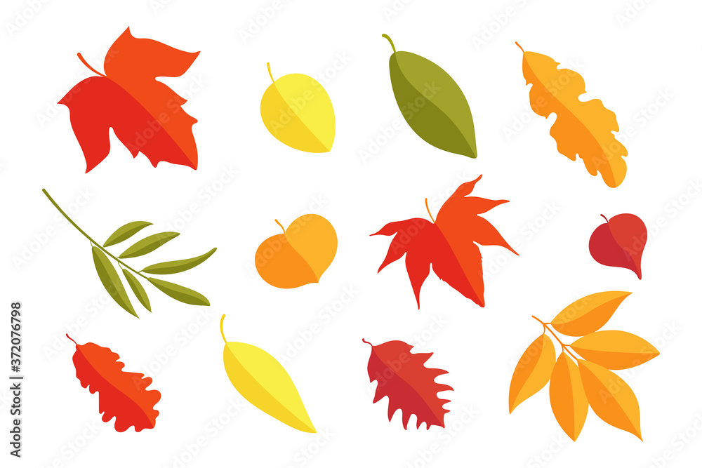 Obraz premium Autumn leaves collection. Colorful falling leaves. Fall. Autumn season. Nature. Decoration elements.