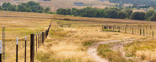 Εκτύπωση καμβά Late summer on the Colorado plains southeast of Denver