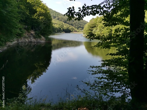 lake in the forest