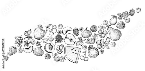 Berries and fruits sketch collection. Hand drawn vector illustration. Food illustration. Hand drawn berry and fruit set. Engraved style.