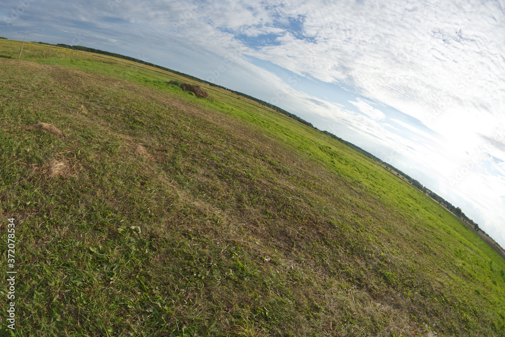 Obraz premium Blue abstract sky background, grass at field. Photo taken on a wide-angle lens.