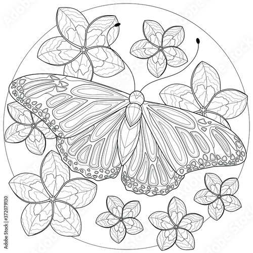 Butterfly with flowers around.Coloring book antistress for children and adults. Black and white drawing.Zen-tangle style.