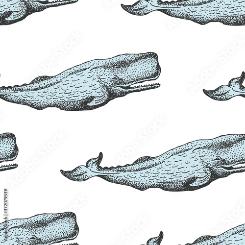 Seamless print with whales in sketch style.