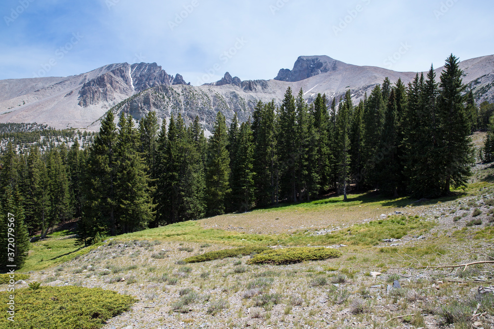 Fototapeta premium Beautiful landscape view of Great Basin National Park during the day in eastern Nevada.
