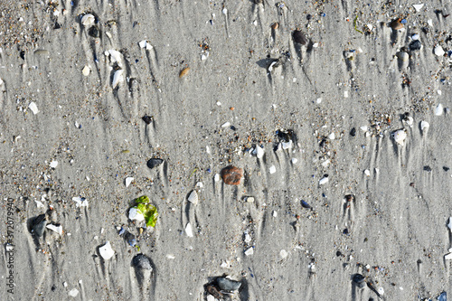 Fototapeta Naklejka Na Ścianę i Meble -  Sand beach on baltic sea