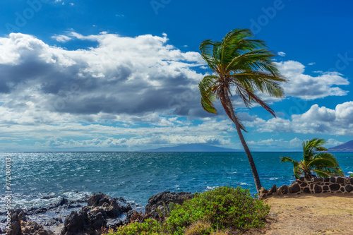A view of the island of Lanai from the shore of Kihei, Hawaii with a palm tree blowing in the trade winds on the Island of Maui.  photo