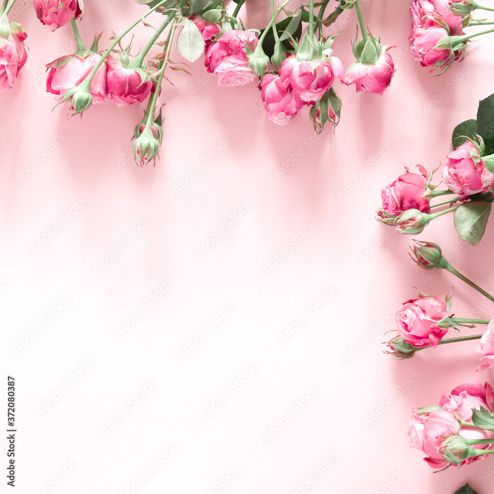 Beautiful flowers composition. Pink rose flowers on pastel pink background. Valentines Day, Easter, Happy Women's Day, Mother's day. Flat lay, top view, copy space