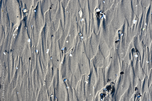 Fototapeta Naklejka Na Ścianę i Meble -  Sand beach on baltic sea