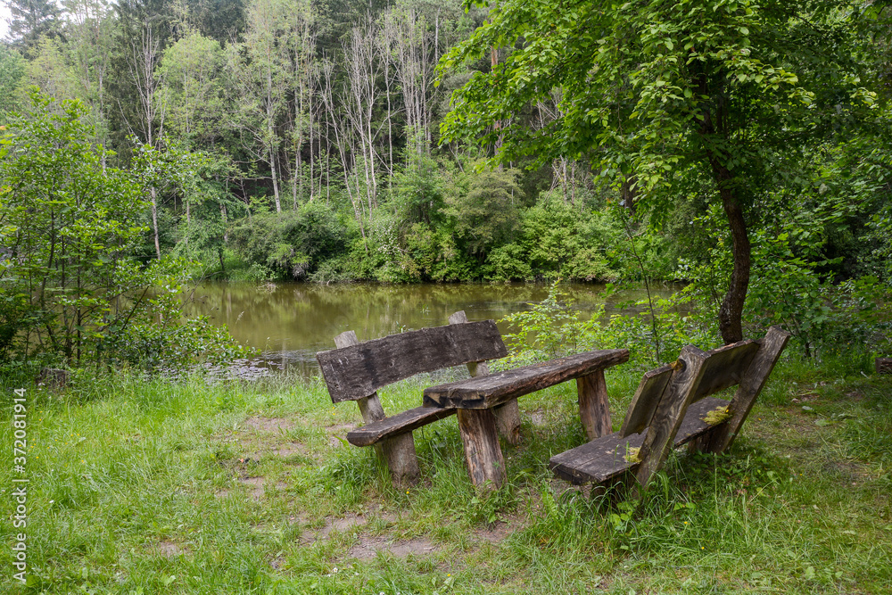 Benches and table by a small lake in the green nature
