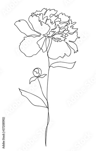 Beautiful peony flower. Line art concept design. Continuous line drawing. Stylized flower symbol. Vector illustration