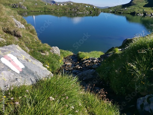 mountain lake in summer