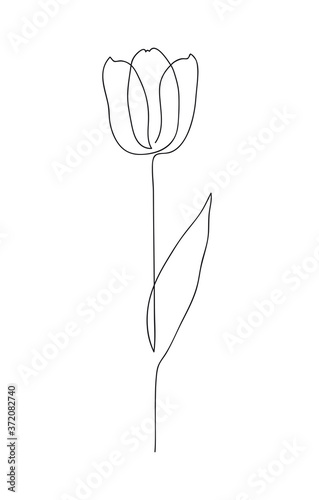 Beautiful tulip flower. Line art concept design. Continuous line drawing. Stylized flower symbol. Vector illustration