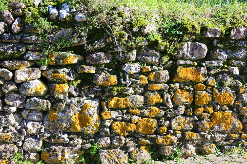 stone wall with moss stone wall with moss