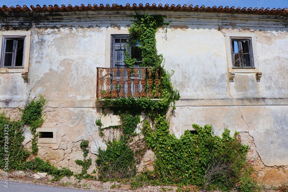 the old house with hedera ivy