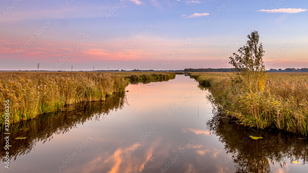 River through marshland