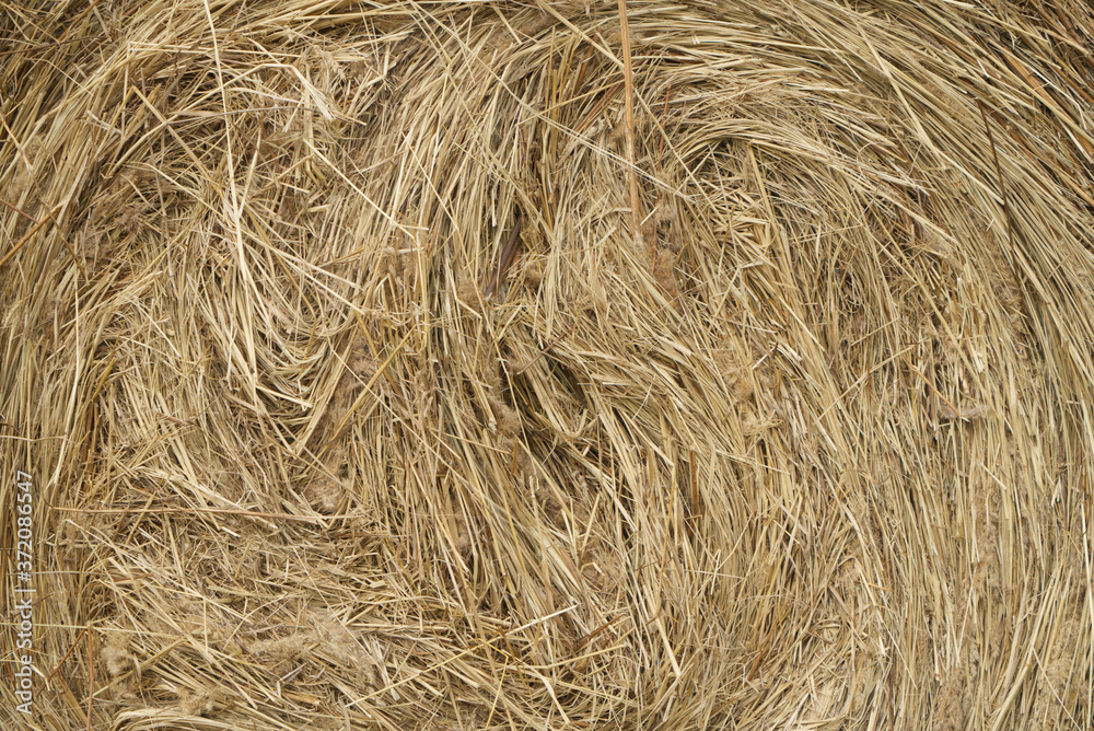 haystacks in a village field, closeup of round haystack, blurred background haystacks in a village field, closeup of round haystack, blurred background
