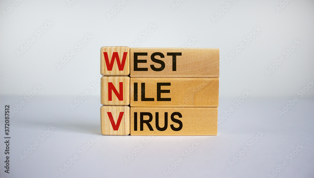 Concept words 'WNV, West Nile virus' on cubes and blocks on a beautiful white background. Business concept. Copy space. Concept words 'WNV, West Nile virus' on cubes and blocks on a beautiful white background. Business concept. Copy space.