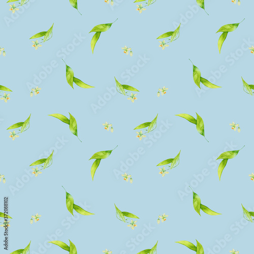 Watercolor Seamless pattern with citrus flowers on a blue background  leaves background. Hand drawn illustration for summer romantic cover  tropical wallpaper  prints for the kitchen  Sicilian style